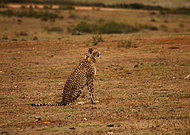 2019-12-10/60eaffda310e917eff3a131226ed1498_ccc979601948247b41dcc18a99cab25e