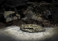 2019-12-11/39d9e8298d808011f387958a18f6c5b8_3c64340153dcef9d0678da92f349c495