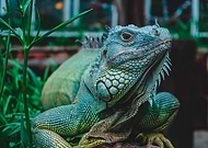 2019-12-12/116d20b7c14788830b12edf5bc22de85_dd0d1086fddaba3fc7be3176fd8c6dbe