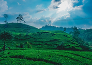 2019-12-12/8c5e7bd78e23b7a07b48b5d44d123f53_443e7b8a35f5757973f354e45a7ecf30