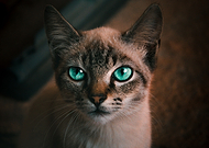 2019-12-13/2b1ce0480182b2cbbda4078281440bd7_cd85af915f8f9c1c2883654614071a4d