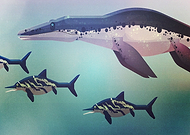 2019-12-14/78e8e77134653de275c9cc93b9794033_d628655cb96deb1020642f96bba37baa