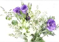 2019-12-16/857966b4716532688a476719bb269fc4_6172241be5777f9339956849c3007e1b