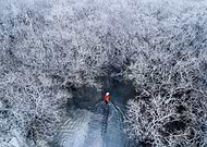 2019-12-17/408f43d543fa4ebbb88d88e4fc33e773_84fef71035ec76a4d5f68f202d49a71b