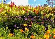 2019-12-17/4a26dfd9f1c62eb1ac99d776b67f3f38_915cde15817c5407953715e8ea186e4b