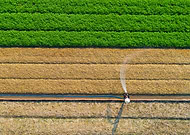 2019-12-17/92cceca642972ede040883ea8306dca7_6838d9e404cac913992a88ec6ed46d3c