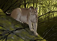 2019-12-18/44d199b281fd1d216950921bd1e6be73_363da1cc3a1d8b707218352c15fa2e9c