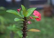 2019-12-19/9643415fe4e7a0ec153f09a2894774b0_5a7499f1cc76dd0df9ce7ac772cd04cb