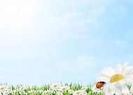 2019-12-20/00aed40d08106108692fddcf187c2240_876fdf9644d702fb3c00578e8bfed4c4