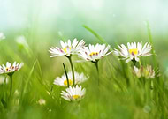 2019-12-20/160faa9c817f6ec4ae0a83403c011fff_e2b7458e68437dfe83dd72d583ab96ec