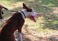 2019-12-21/0e4c119f72ff535173ad8f2dcb72b027_8d91e811e19804cc3aee98258ea787ff