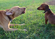 2019-12-21/d7d528ed5eeb46183a0c37fe4d19be80_53bf383b37e49e307a628329aab1f3e8