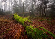 2019-12-23/493fcf833f1dbc9ace1bb10dcd8c844f_d0e223485a43068046f7d89d76185e35