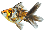 2019-12-25/49f840a806c12d9246ff6be3405376bf_da5939d874ebc0792722f7886e73700a