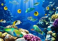 2019-12-25/55a2b6bc3e7f407bd3565806cb0b11e8_d55eeb6fb2c7b1172d6754ff6ee24c42