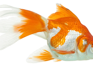 2019-12-25/6969118e1bb36d61407f6fd471ac8e29_3cc1a9cac478e5c2763e98365b859dd3