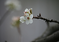 2019-12-25/85017c2e2448de189d66d2d4b48c93dd_4427dbbe0160785f892eb47083b90d10