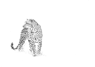 2019-12-25/fe358910c30932b61b8ba6cc720d9df7_bcbab03bd33b8f1156ddf0d7fc894ad3