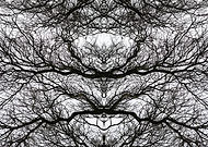 2019-12-27/5b2b19ab1a928d872f4a974abc76a548_aed0db379a9cd36829e926cd843b2e77