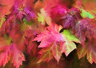 2019-12-27/d21c28c655745f9e7419422f38d5bc8c_c61de4039ba7fb1e7012a20ca9c65a47