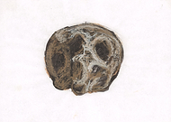 2019-12-30/0108510b29612929499d0faf051fd385_e144d8b56357aa473cfc1e7dcf0fe826