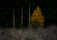 2020-01-06/11ffcdaa587ac2de23ba5df3f3a64de1_9e3013b2ed67da6eb7f5026b4071b728