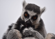 2020-01-06/20f69c66be0b6775a6ae3955245dc9f3_02029bb949b6dda6cdd1f486e495ef16