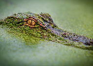 2020-01-06/69c79c76e54aa9a3faab26c347751fff_2973e77b9999a74da001da4d11f97b9d