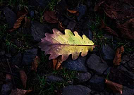 2020-01-06/c5cadf8392da94d7da74253b67deb8c7_e38537de6b51c3014604344f5b4eab65