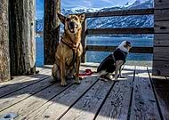 2020-01-07/302cfb28d293281b480b3fcece44d7a5_16aef564b91cccc80e91511fbfb94c26