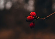 2020-01-09/453512dbf75349e0b86506c23c65f34b_a058ceb2f9ce92b1cd59ef74e0332c86