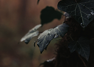 2020-01-09/6fa474d7081b806eb37f72cc04a30335_ad3e8cc7d39f146c725ee1d8383dd3eb