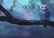 2020-01-11/89c27898986649e88414d19d27d56da9_22f60aa450751f86127a7081a2047464