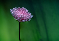 2020-01-11/a6d09d44c8a60d50d37d0485e7c69247_197e16797eba03043f7c886708ad0eae