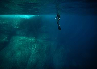 2020-01-14/49f69cc170d890f22350e85e64ebb31c_410af67ee9ac63dd16bf5dedee7ea27f