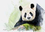 2020-01-14/67142540d8ec3014acc87ef1b85d9910_d5c15fe92bb34bddaa6319168ada1a70