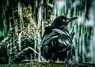 2020-01-14/97e6b40efed3bc45096fede5de359fd1_5702185c8fcb4ac2702453e23e5bebb9