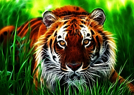 2020-01-14/cf3e4c9d33d4ea6ac9414342b00f14c4_7c3f9ba740e90bac3d06027219826cdd