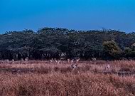 2020-01-14/eb63044bca783cec35316e343d3df8b2_b91bcd5e2b7c8690ad33d10c4c555411