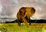 2020-01-15/105f8b6e5f10e068694274fcb9e404bd_fa6cd919d864a9151b731b7dbb030fe5