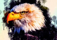 2020-01-15/e38636095c99f3ec9bd909f2befc3e5f_6fdf2b64aaa291008fc66649a4f92c42