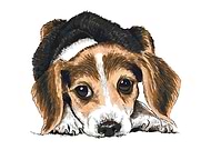 2020-01-15/fe345e99da0aa9cc245d1df48fd314d8_4051162f8e463fc22c789919a3882916