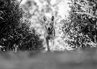 2020-01-16/df73041ae14d7301bd42c24089fc573b_3f578a2d1e6654b0c446446d5e189744