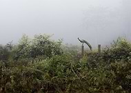 2020-01-16/e31f69f607a7789dcf03e492e1292c89_84698ee47497c2309d06f9c05bff4661