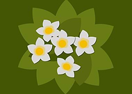 2020-01-19/3e501e71e9538d7cfac402dfc660635f_5ee244210356a148dff682a793c115bc