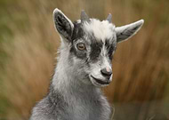 2020-01-19/8ecd6a8156e7c7cc592b1d0047d3a7f0_5c5c6db6d9a0a9f40c4799dc210c7f3e