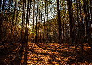 2020-01-19/ede1f042a2e2fdbcb2e2d4423017d7c6_94cd502c18aebf1c9f02102614c8dff0