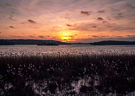 2020-01-22/edc5b70f56cbf2a2da614fc831a16931_75bf10d3875c0fc2d582acdb6f09acf3