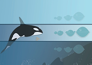 2020-01-24/1ead395cc69f1b2887d1ed16d2778aa8_1f9b218dbfc4844e92acf144b5b174a2