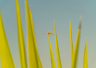 2020-01-24/3979b5ad40731138a1813a23153868ce_3eecca7ea88f8f867ff428645556757a